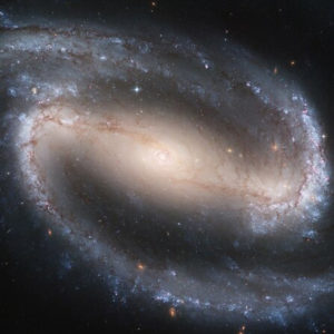 Astrologie und Ayurveda (22. Nov. bis 13. Dez. 2025)