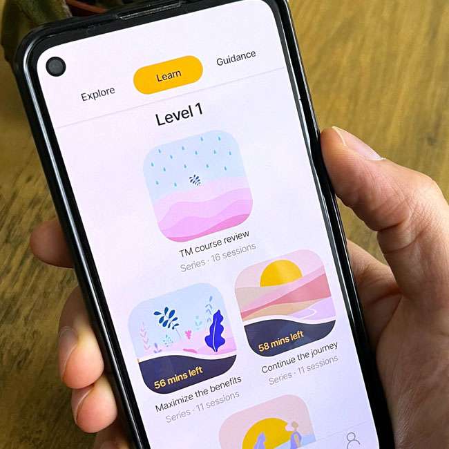 online-kurs-www Die Benutzeroberfläche der offziellen TM-App